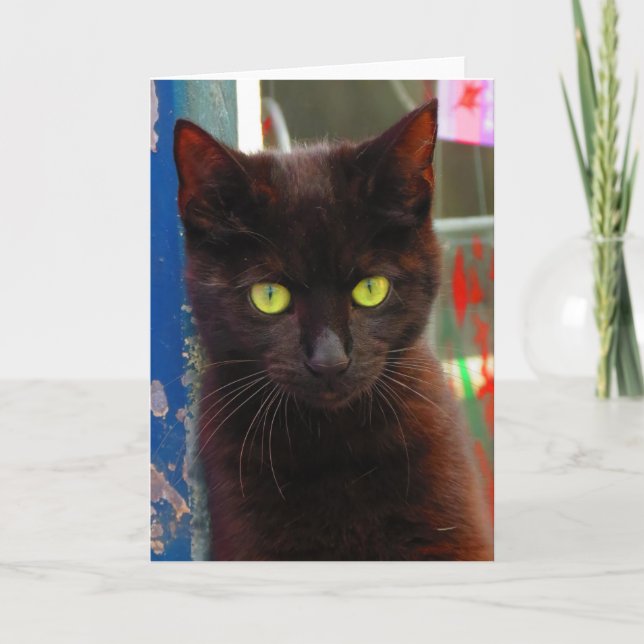 Adorable tarjeta para gato negro (Anverso)