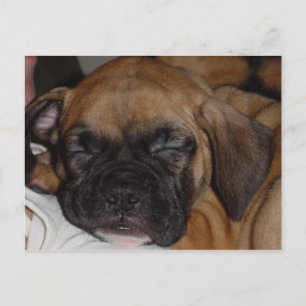 Adorable tarjeta postal