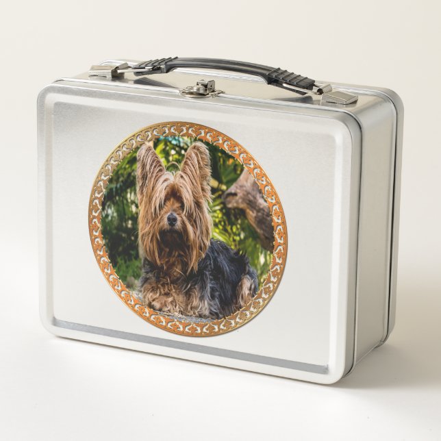 Adorable Yorkshire café y black terrier (Anverso)