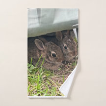 Adorables conejillos recién nacidos