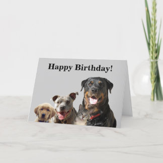 Adorables Mascotas de la tarjeta de cumpleaños de