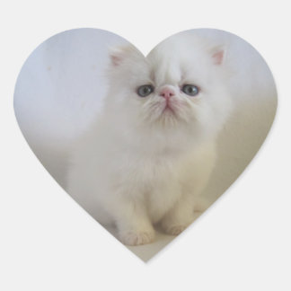 adorables pegatinas de corazón de persa