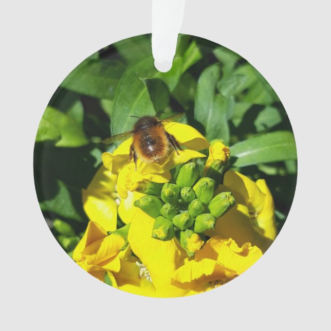 Adorno Abeja a las flores amarillas (Anverso)