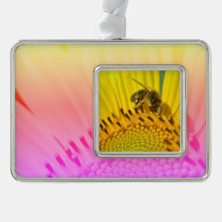 Adorno Abeja de miel alimentada con postal de girasol orn