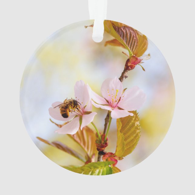 Adorno Abeja en una flor de cerezo (Reverso)