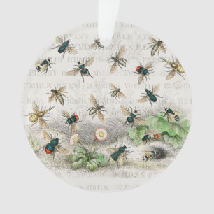 Adorno Abeja Reina Entomología Botánica Vintage