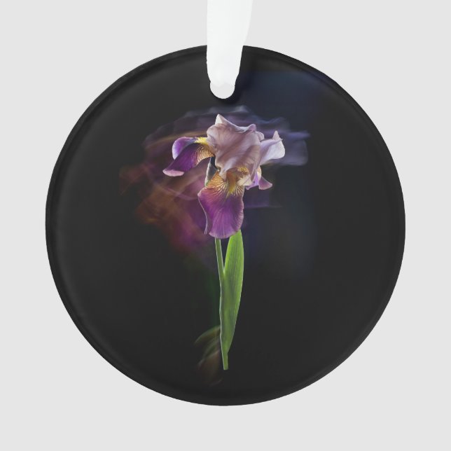 Adorno Abstract Iris Flower – Elegant Floral Art (Anverso)