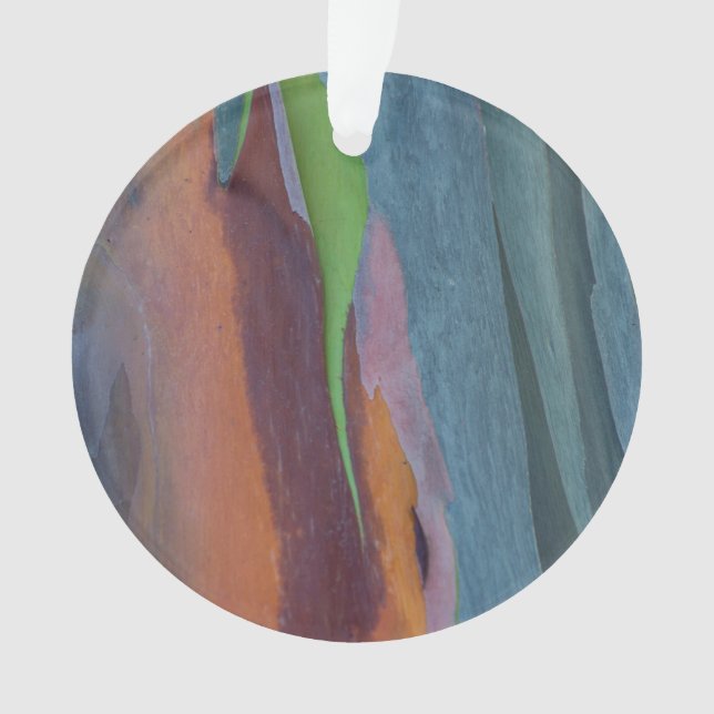 Adorno Abstracto Del Árbol De Goma Arcoiris (Anverso)