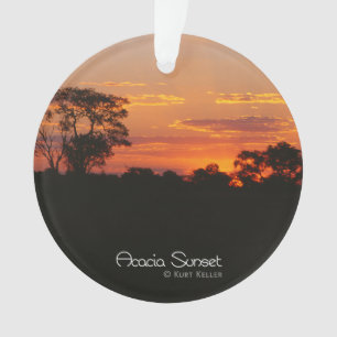 Adorno Acacia Sunset