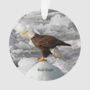 Adorno acrílico de águila calva