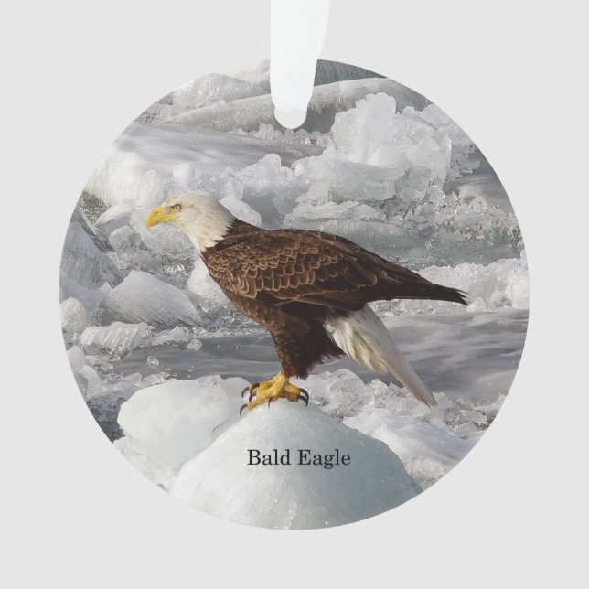 Adorno acrílico de águila calva (Anverso)