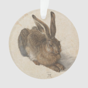 Adorno Acrylic Liebre Estilo Vintage Albrecht Dürer
