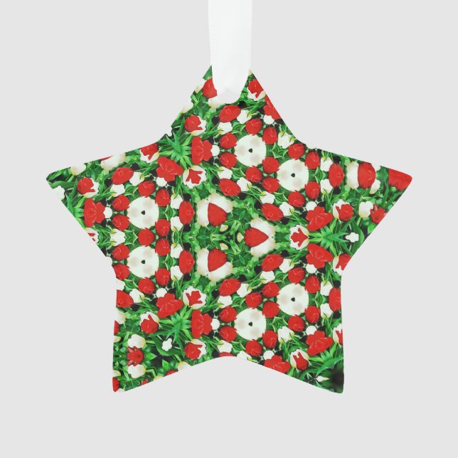 Adorno Acrylic Ornament (Anverso)