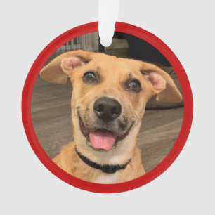 Adorno Adopción de Mascotas Foto Personalizada