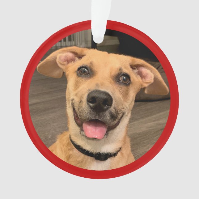 Adorno Adopción de Mascotas | Foto Personalizada (Anverso)