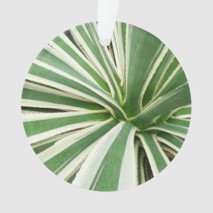 Adorno Agave Plant Green y White Strike