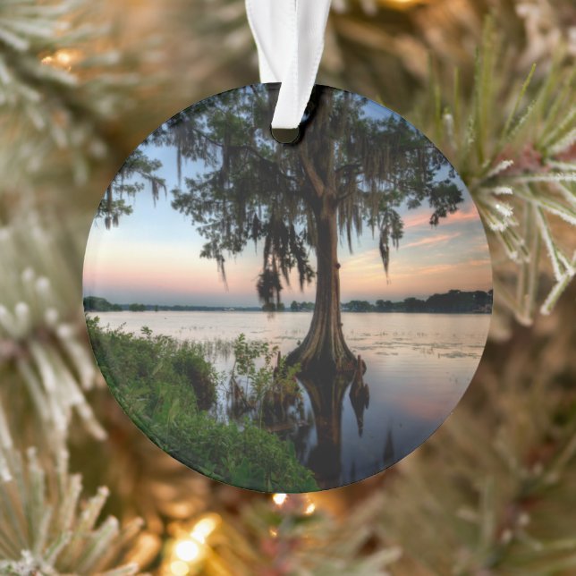 Adorno Agua | Kraft Azalea Park Maitland Florida (Árbol)