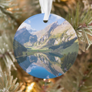Adorno Agua Lago Alpsee Suiza