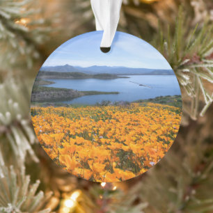 Adorno Agua Lago California Con Cachorros Dorados