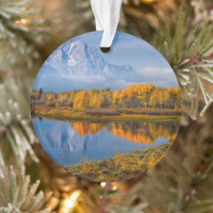 Adorno Agua   Oxbow Bend Jackson Wyoming
