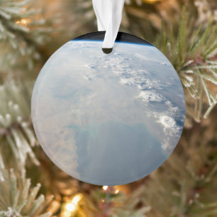 Adorno Aguas Azul Tropicales Del Golfo Pérsico. 2