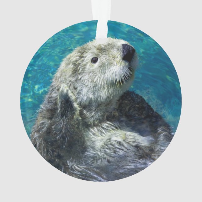 Adorno Aguas azules adorables con aletas de mar (Reverso)