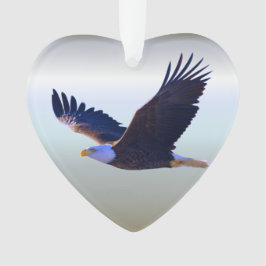 Adorno Águila calva volando