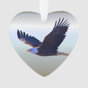 Adorno Águila calva volando