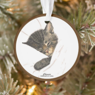 Adorno Ajedrez el ornamentado acrílico gatito