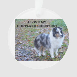 Adorno Amo a mi Shetland Sheepdog