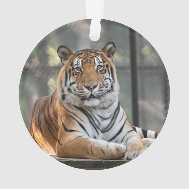 Adorno Amol - (Reverso)