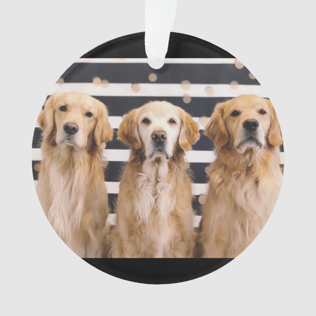 Adorno Amor de los Golden Retriever (Anverso)