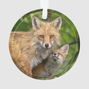 Adorno Amor por Padre