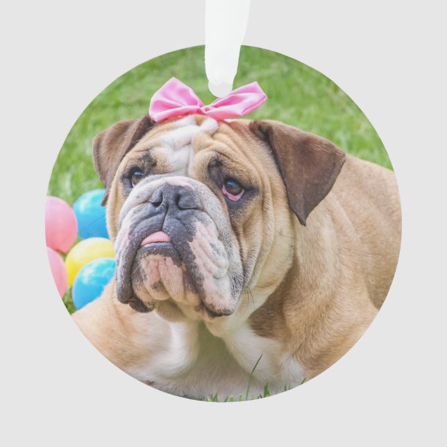 Adorno Añadir la foto y el nombre de su perro a esta cita (Anverso)