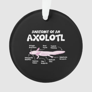 Adorno anatomía de una ciencia biológica axolotl axolot