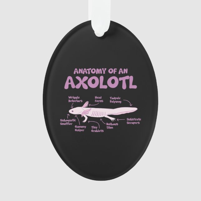Adorno anatomía de una ciencia de la biología axolotl axo (Anverso)