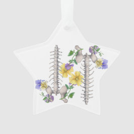 Adorno Anatomía floral - Vértebras, hueso de la cadera