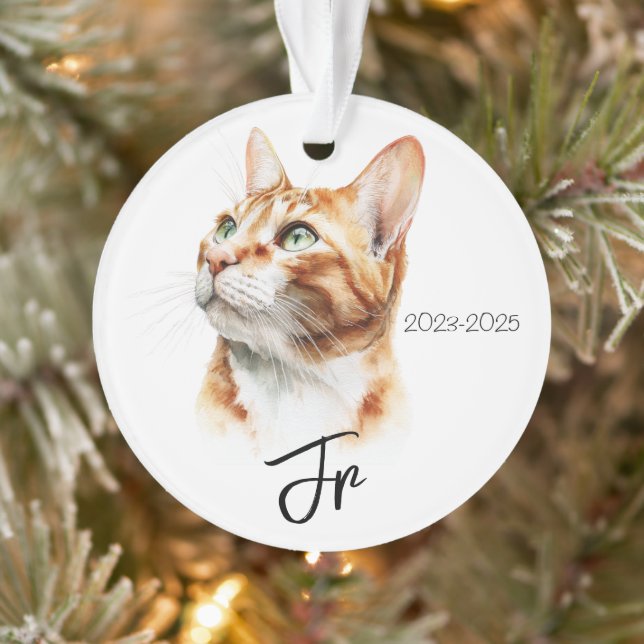 Adorno Angels With Tails – Pet Memorial Keepsake (Árbol)
