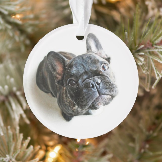 Adorno Animales de bebé más afectados | Búsqueda en Bulld (Árbol)