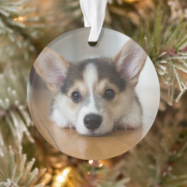 Adorno Animales de bebé más afectados | Corgi Puppy (Árbol)