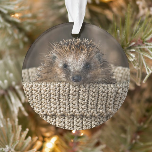 Adorno Animales de bebé más afectados | Erizo en una cana (Árbol)