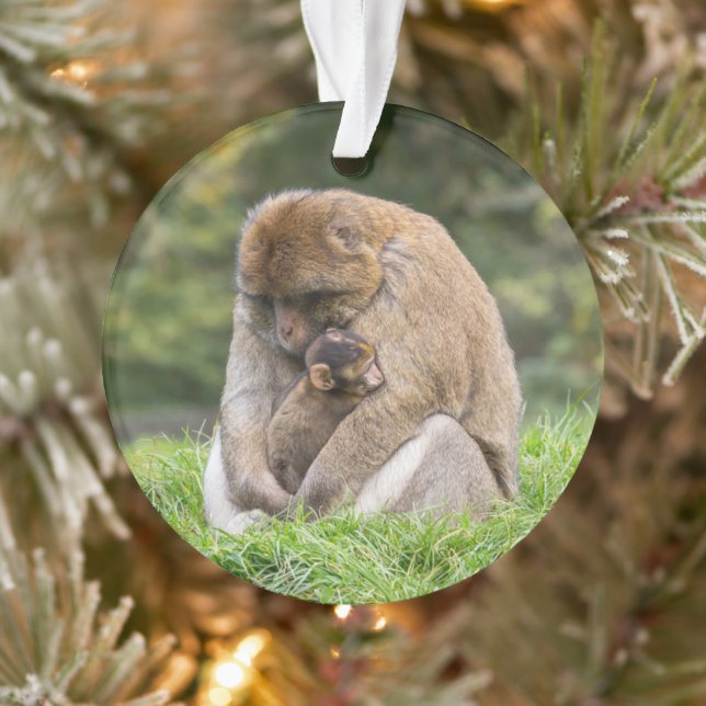 Adorno Animales de bebé más afectados | Familia Barbary M (Árbol)