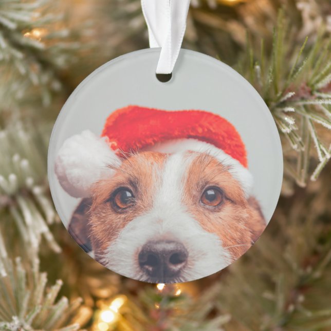 Adorno Animales de bebé más afectados | Jack Russell Dog  (Árbol)