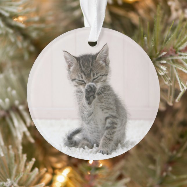 Adorno Animales de bebé más afectados | Licor Tabby Kitte (Árbol)