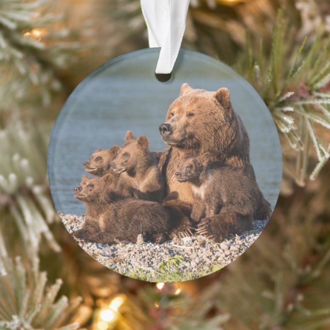 Adorno Animales de bebé más afectados | Madre Oso y Cubos (Árbol)