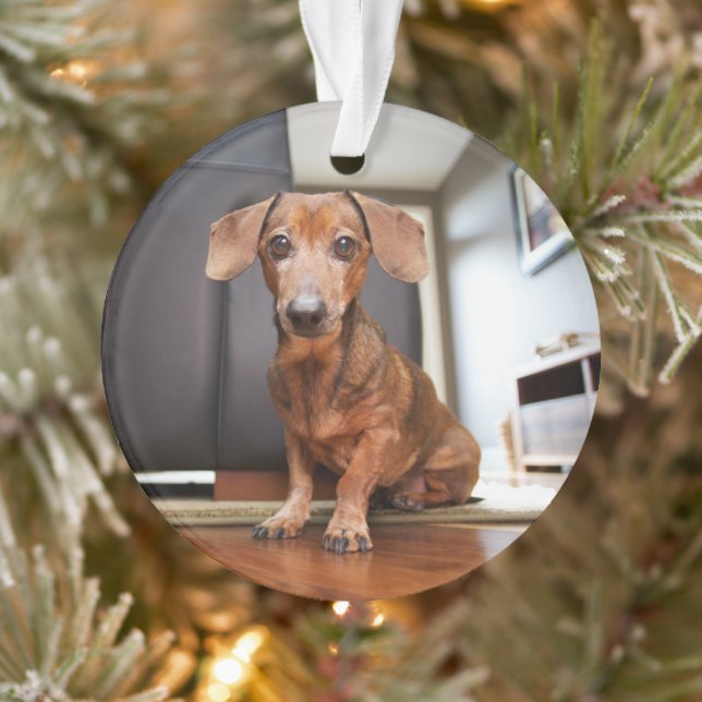 Adorno Animales de bebé más afectados | Mini Dachshund Pu (Árbol)