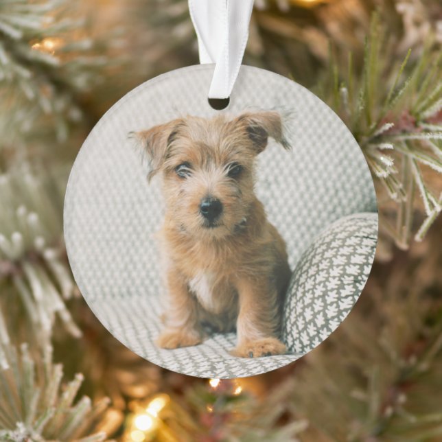 Adorno Animales de bebé más afectados | Norfolk Terrier P (Árbol)