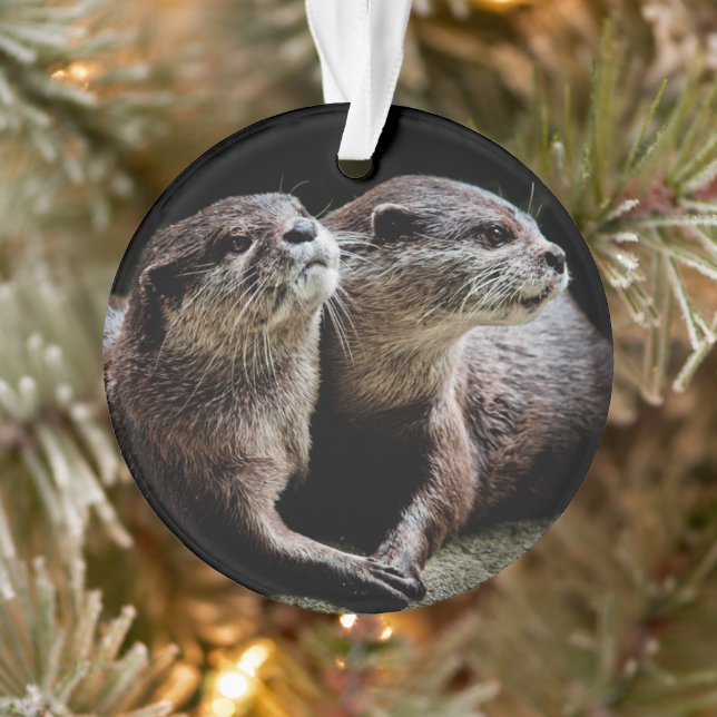 Adorno Animales de bebé más afectados | Otters Manteniend (Árbol)