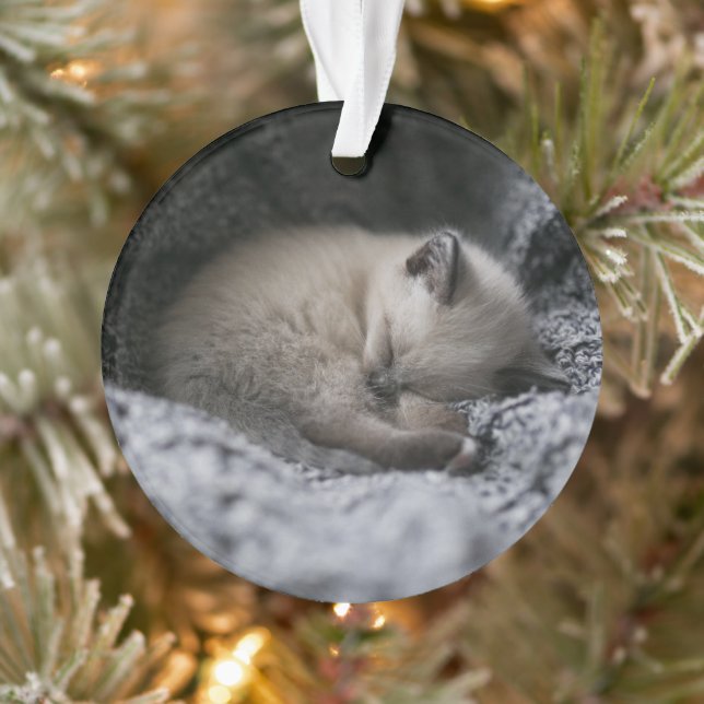 Adorno Animales de bebé más afectados | Pequeño Gatito Do (Árbol)