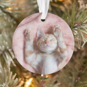 Adorno Animales de bebé más afectados   Pequeño Naranja a